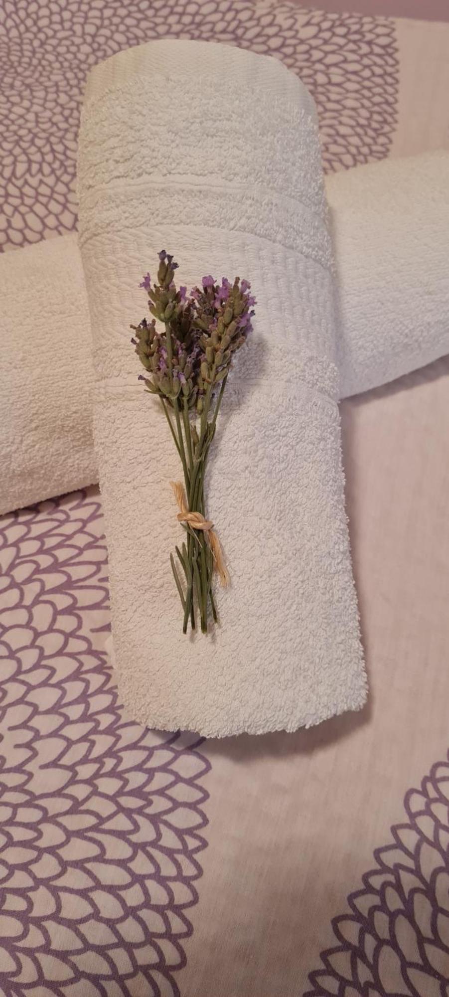 Apartment Lavanda สตารีกราด-ปาเคลนีซา ภายนอก รูปภาพ